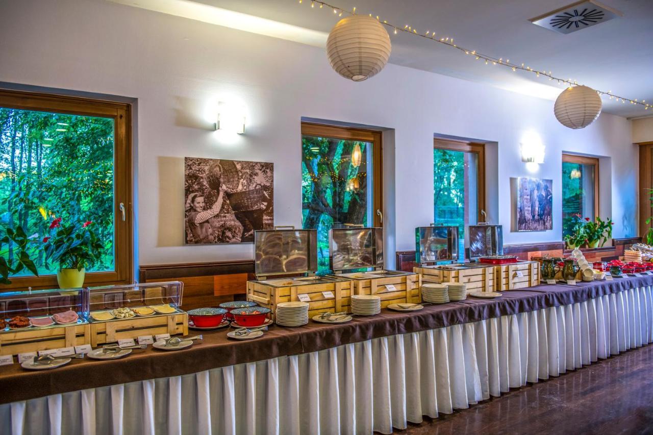 Zichy Park Hotel Bikács المظهر الخارجي الصورة